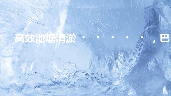 高效池塘清淤，巴洛仕設(shè)備助您一臂之力